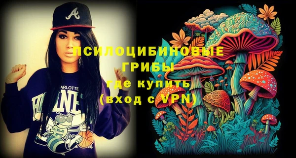 ECSTASY Семикаракорск