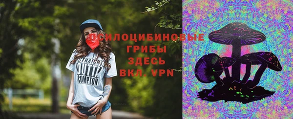 ешки Белокуриха